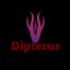 Dipterus