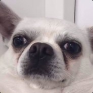 ice baby avatar