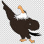 Aguila Poderosa Fase 1