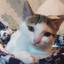 Steam avatar