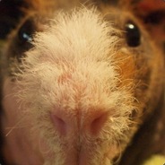 超级奥利奥玛丽君