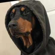 勿以赢小而不麻