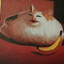 Bubu