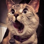 白给学派第一人