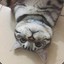 23333333333