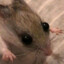 rittyratus
