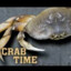 Time for crab