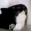 季徽 今天也想睡觉