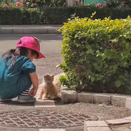 请再好好听一次