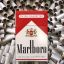 Marlboro^^CoNaMoRe^^