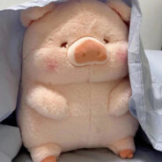 beanbagpig avatar