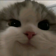 แมวยิ้ม