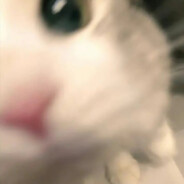 我什么都不知道