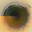 v1nCi-