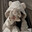 Pixel_Kitty