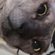 Кошмарик