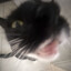 sniff sniff sniff sniff
