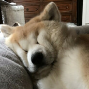 玩家头像