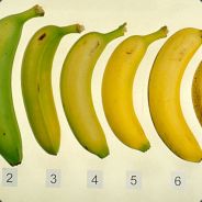 CAPSLOCK - steam id 76561197971118521