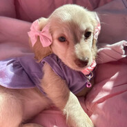 Olcia🎀