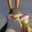 Big_Chungus_7