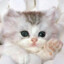 Cutecat:3