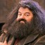 Rubeus Hagrid