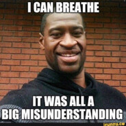 back to your cage monkey