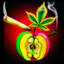 Apple_THC