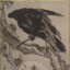 Raven