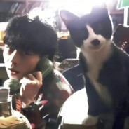 美食陪小酒跟着薇薇走