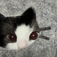 小船