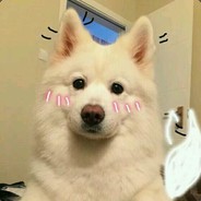 PsY-cho12138