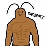 魅力四射的蟑螂