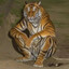 el tigre