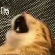 喜欢唱，跳，rap，篮球