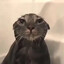 SaturatedFish