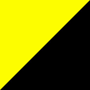 Ancap