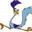 Road Runner