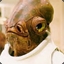 Admiral Ackbar