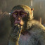 Monkey Gun