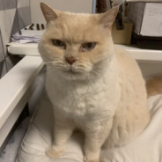 Hector66craftz 's avatar