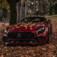 AMG