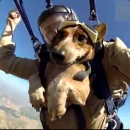 盗号的，问候你母亲。