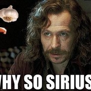 Richtiger Sirius