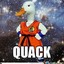 Majestic Space Duck
