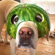 Melon