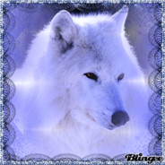 Queen_Arctic_Wolf