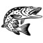 Pike