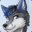 Blue Grayfox